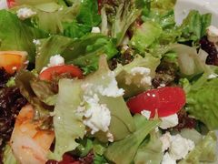 地中海大虾沙拉-Efes Turkish & Mediterranean Cuisine 艾菲斯餐厅(陆家嘴店)
