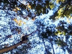 -本溪老边沟风景区