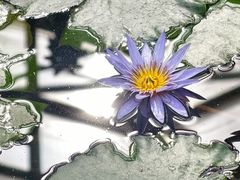 -国家植物园南园