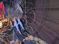 -烟台海昌鲸鲨海洋公园