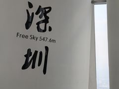 -平安金融中心云际观光层