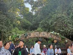 -西双版纳原始森林公园