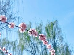 -三里河公园