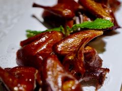 豉油乳鸽皇-维园悦谱·海派家常菜(乌鲁木齐南路店)