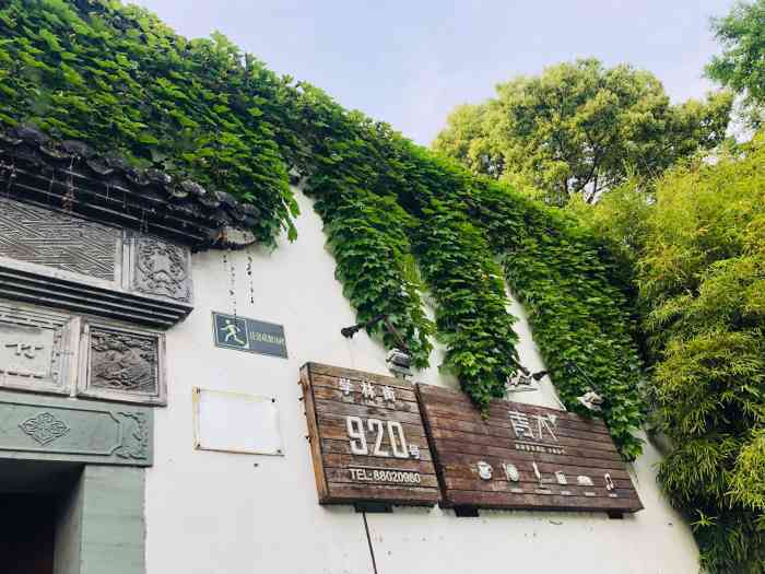 日出青木-"在杭州下沙居住了一年,最爱和好友去的地方.