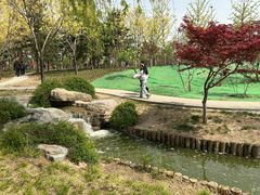 -西海子公园