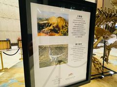 -郑州美盛喜来登大酒店