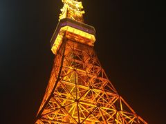-东京塔海贼王主题公园