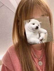 -茶发Salon·烫发染发理发