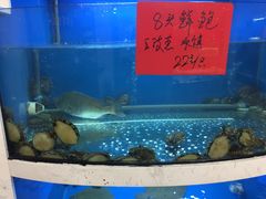 水产区-壹只菜·崇明本地特色菜(崇明南门店)