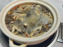-蘑统田下·野生菌火锅