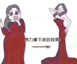 -香薇妮丝·定制减肥·身材管理