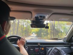 -青龙山国家森林公园