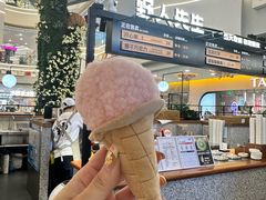 -野人先生Gelato(上海长宁龙之梦店)