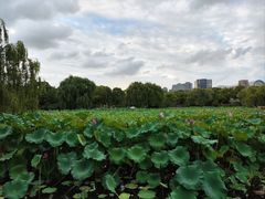 -复旦大学江湾校区食堂