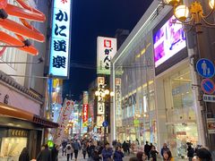 -蟹道乐(道顿堀本店)