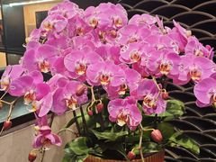 -粥旺庄(芳村店)