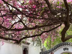 -深圳国际园林花卉博览园