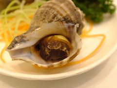 -万宝海鲜舫(劳动公园店)