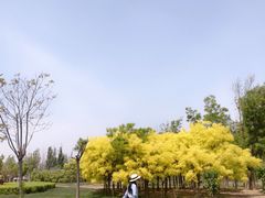 -武清南湖绿博园