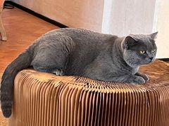 -Me Coffee下午茶艺术空间