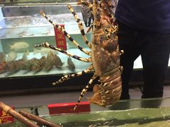 -海龙渔村(万江分店)