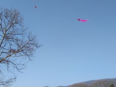 -钟山体育运动公园