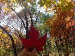 -长春市南湖公园