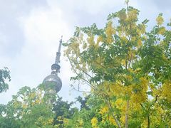 -文华公园(禅城区)