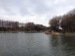 江湾湿地公园-新江湾城公园