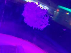 -苏州海洋馆