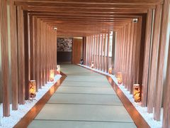 -重庆南山海昌汤都