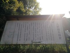 -新安江山水画廊风景区