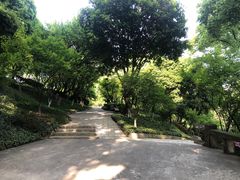 -南山植物园