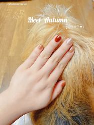 -Touch Nail·品质·美甲美睫