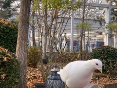 -南宫五洲植物乐园