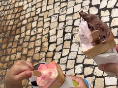 -柠檬车露(卖草地店)