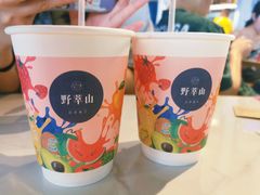 -野萃山·潮汕厚果汁(十亩地店)