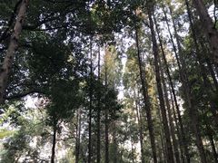 -温江公园