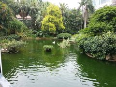 -九龙公园