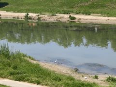 -洨河生态公园