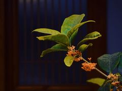 -黑窑厂糖油饼烤鸭·清真菜(黑窑厂街店)