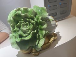 -康美贞·痘肌养护管理中心