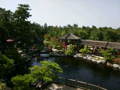 android_upload_pic-中国唐苑