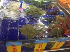 -79号渔船海鲜饭店(华强北店)