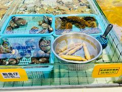 -大锅强·蒸海鲜青岛菜(金沙滩店)