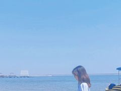 -碧海金沙
