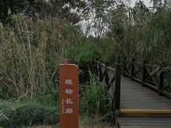 -梁鸿国家湿地公园