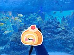 -海合安成都极地海洋公园