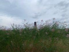 -江苏三台山国家森林公园